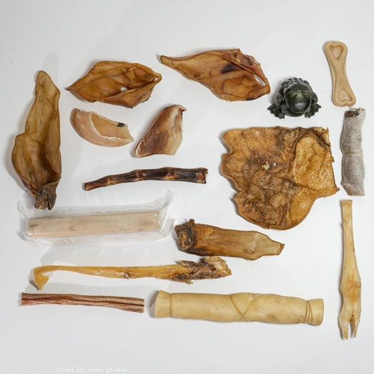 Coffret - Gros Masticateur - Mai 2026 Visuel 1 principal